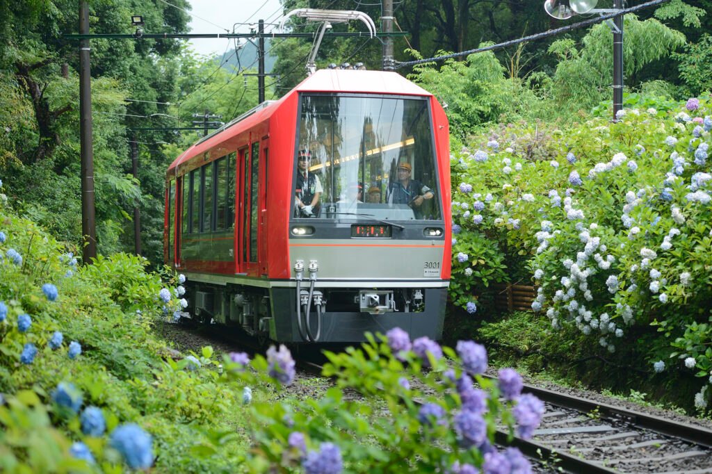 Hakone Kamakura Pass
