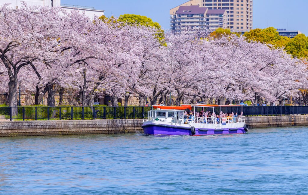Osaka Okawa Sakura Cruise