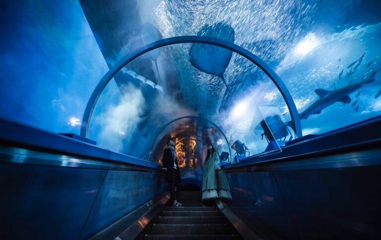 2025 Yokohama Hakkeijima Sea Paradise Ticket