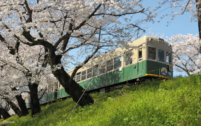 Kyoto Subway · Randen 1-day Pass