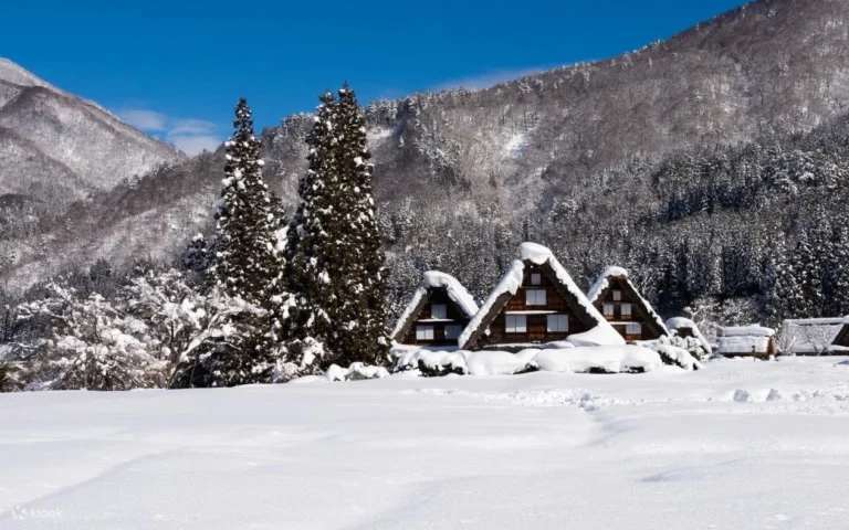 Shirakawa-go Bus Ticket – Non-reserved Seat